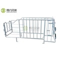 High-Quality Low-Price Pig Sty Farming: Sows Using Gestation Crates1