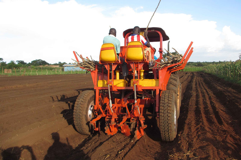 Tagrm Cringing Type Cassava Planter