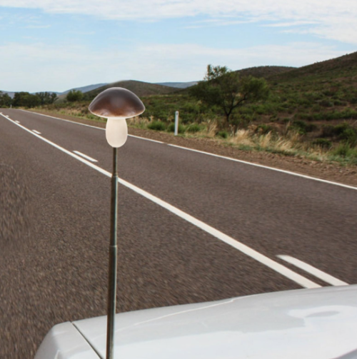 Antena de cúpula de cogumelo para teto de carro multi-em-um: Guia OEM