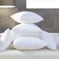 Pillow Inserts 18x18/20x20: 100% Cotton Cover Soft Filling Polyester Pillows for Home Decor1