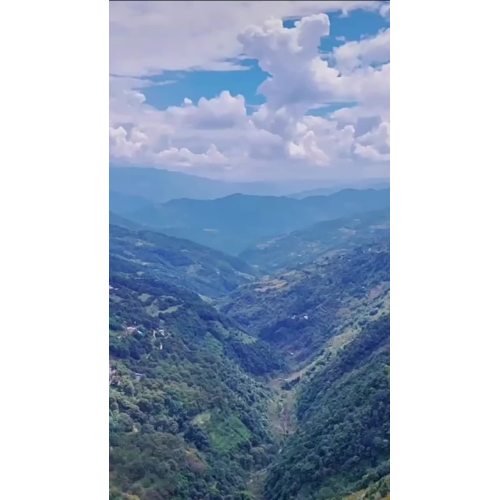 ЗЫ ХЕ ТАО ЮННАМ