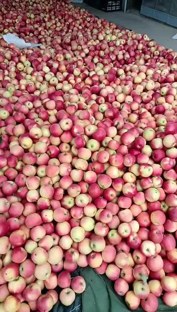 ce41bb466b876f20f21b054f052a19c8