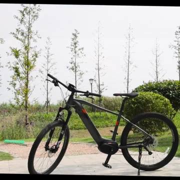 Electric Mountain Bike MC02
