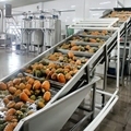 Industrial Pomegranate Passion Fruit Juice Production Line1