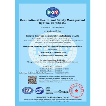 ISO45001 Occupational Health and Safety Management System