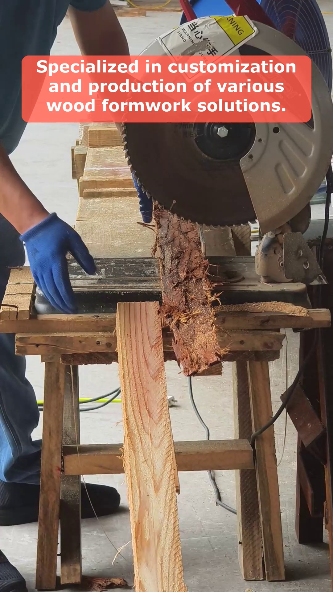 Video 10