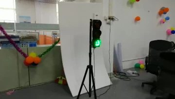 customized 100mm traffic light