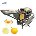 Automatic Egg Shell Cracking and Egg White Separator Machine for Sale1