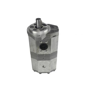 Ten Chinese Gear Pump Suppliers Popular in European and American Countries