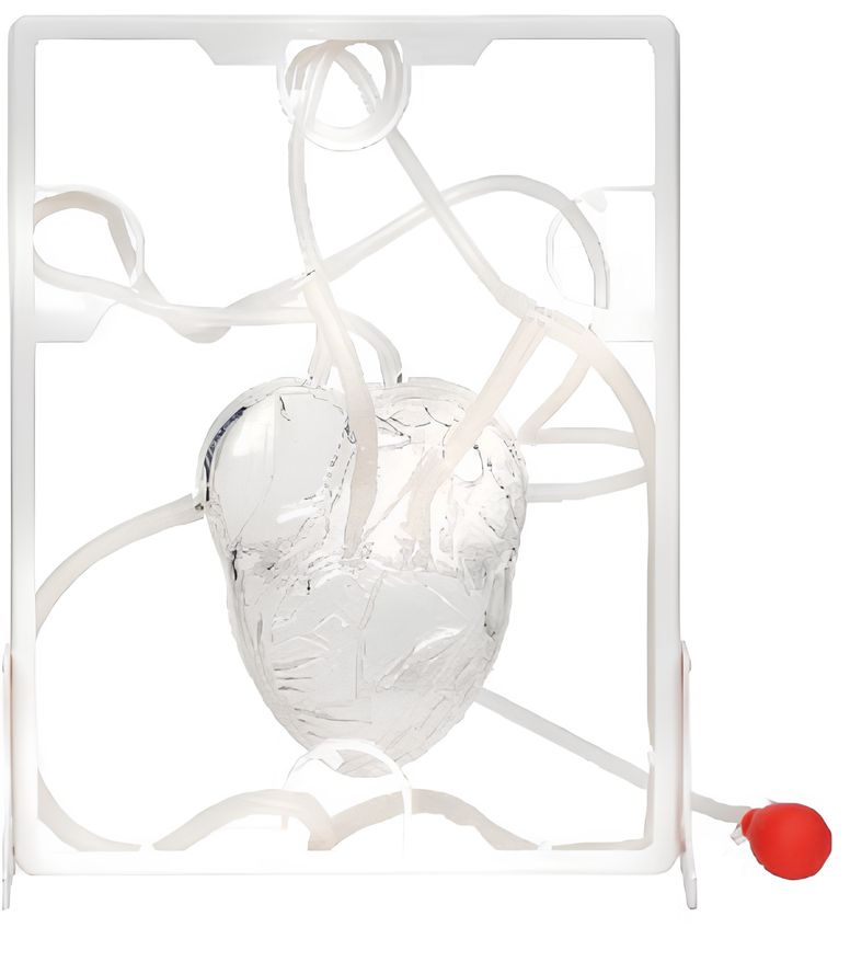 Manual hydraulic blood circulation analog