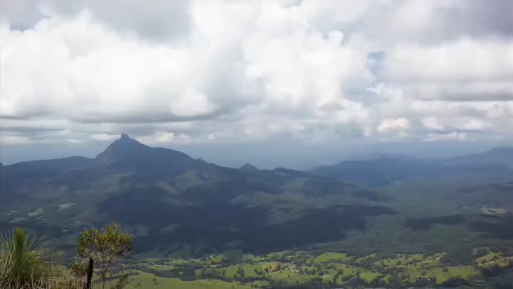 Como o cogumelo cresce?