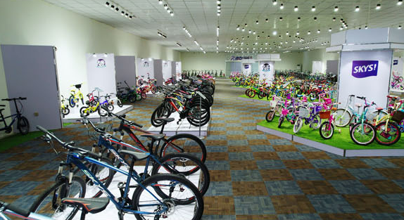 Hebei Skyking Bicycle Techonlogy Co.,Ltd.