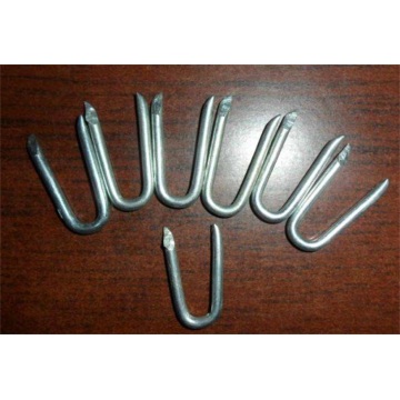 Ten Chinese Galvanized U Nails Suppliers Popular in European and American Countries