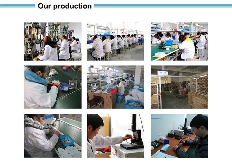 Jiaxing Love Riding Electronic Technology Co.Ltd.