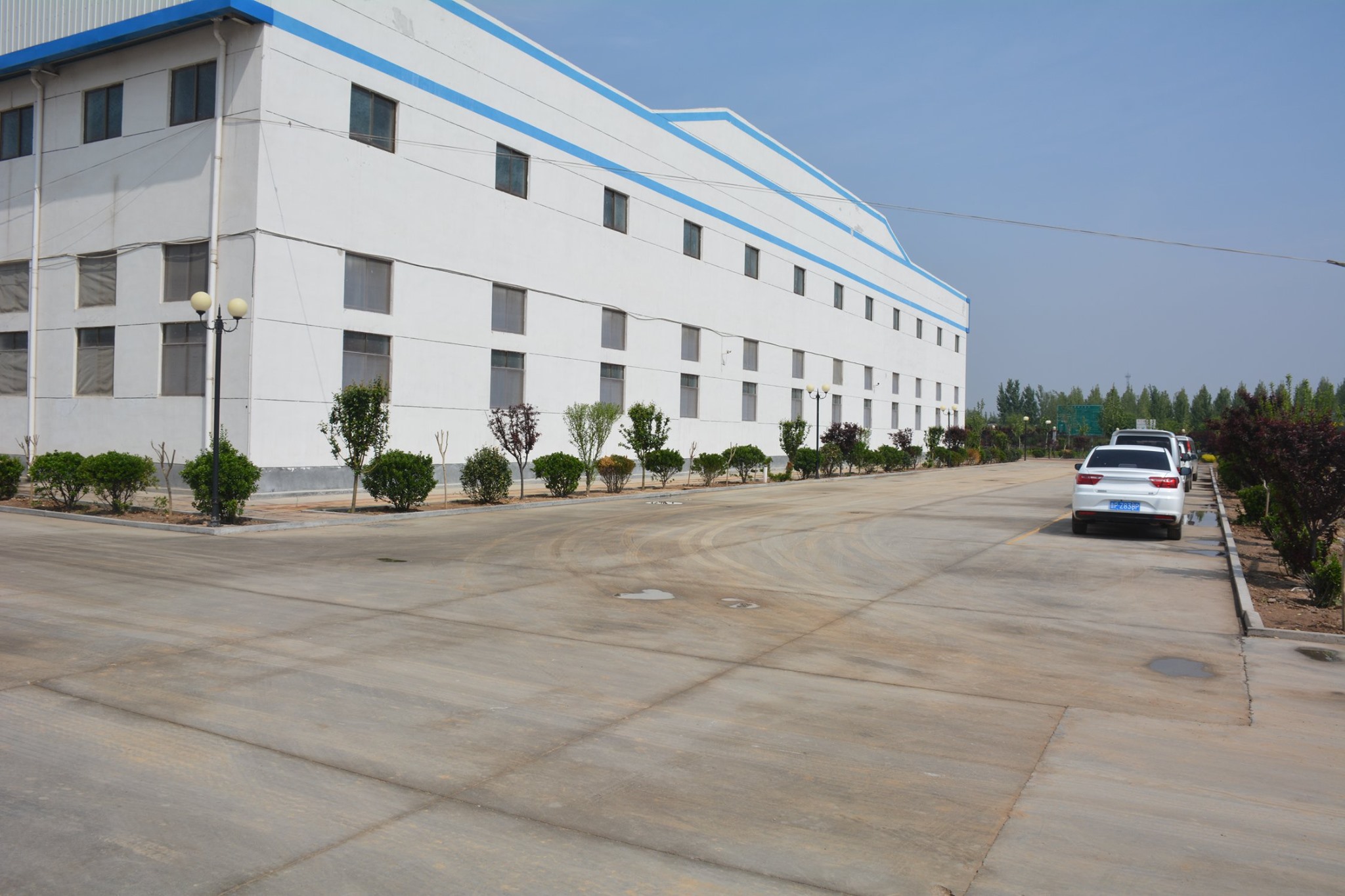 Honghu Danielle Sanitary Material Company Introduc