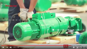 Weihua Electric Hoist Video