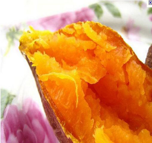 Shandong Jining Green Living International Trade Co.,Ltd