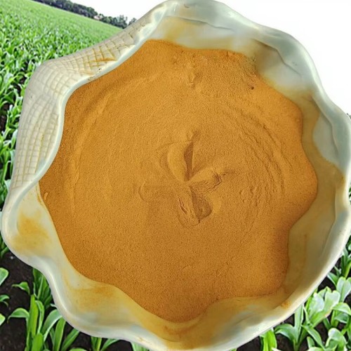 Nhu cầu ngày càng tăng về phân bón hữu cơ và vai trò của rượu ngâm ngô