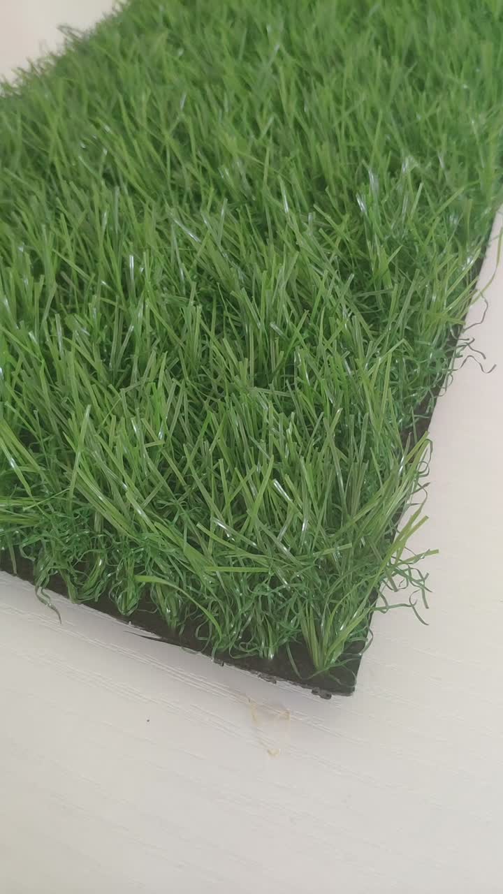 полная зеленая пейзажная трава