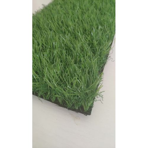 полная зеленая пейзажная трава