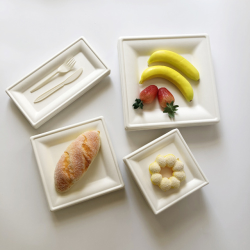 Compostable sugarcane pulp square plate disposable different sizes square plates