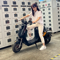 VB-14 Electric Moped Scooter Bike delivery