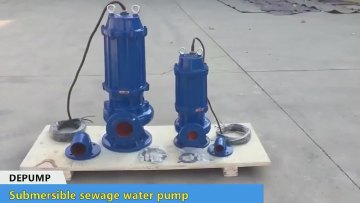 WQ Mini Submersible Sump Water Pump with Float Switch for Sea1
