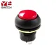 IP68 Hot Selling Mini Push Button Switch