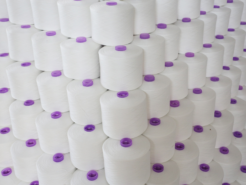 Jiangxi Zhisheng Technology Co., Ltd