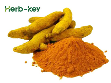 Structural Physiological Activities and Applications of Curcumin