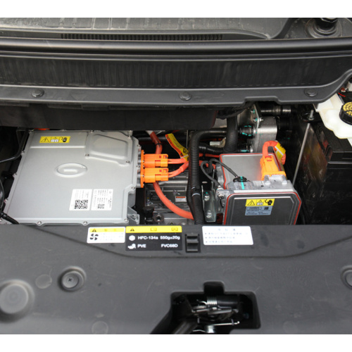 What are the common electric cars faults?