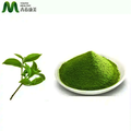 OEM felső minőségű halal által jóváhagyott matcha por tea saját címke matcha tea por1