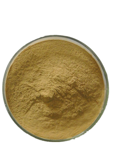 Tamarind Seed Extract