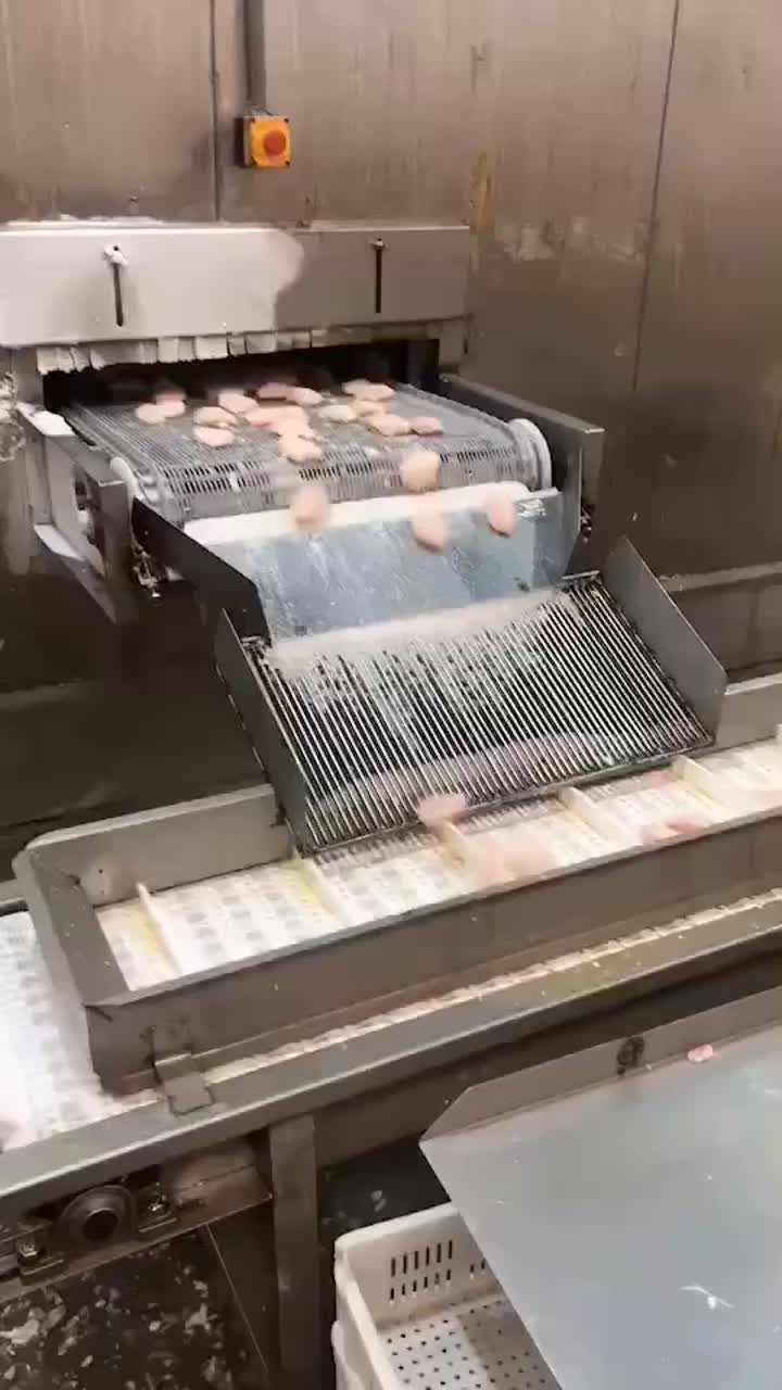 Spiral freezer for chicken wings
