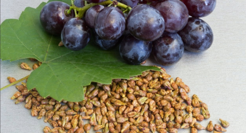Extracto de semilla de uva: antiradiación natural