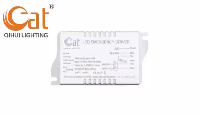 20W LED Emergency Driver