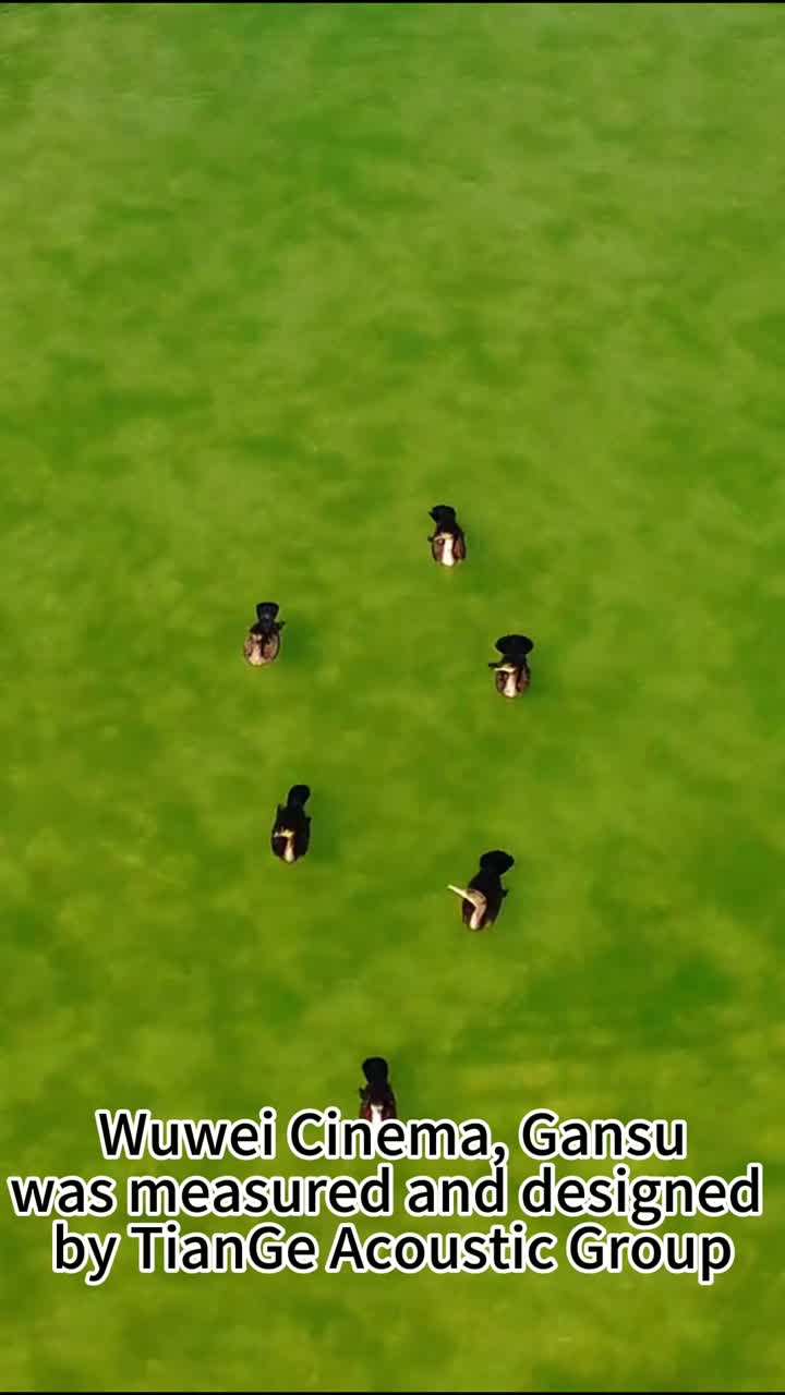 سینما Wuwei، گانسو توسط گروه آکوستیک TianGe اندازه‌گیری و طراحی شد