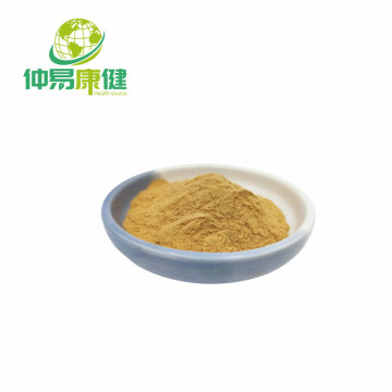 Top 10 Most Popular Chinese Edible Fungus Extract Brands