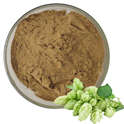 Hops Extract Powder Prevents Hair Loss