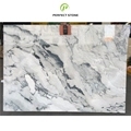 Modern Minimalist Luxurious White Camouflage Marble Slabs for Interior Walls and Floors1