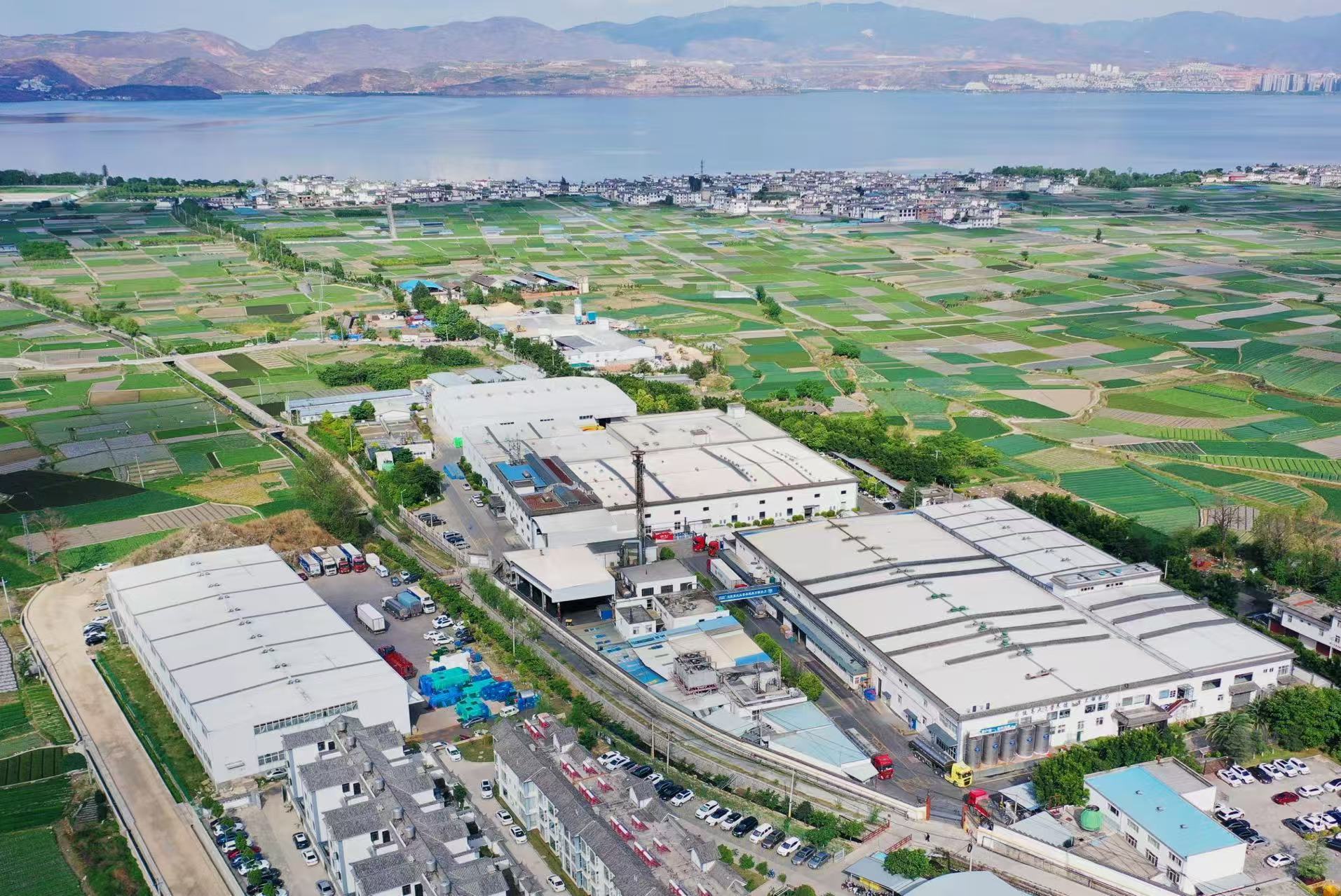 Dali Lesson Dairy Industry Co.,Ltd.