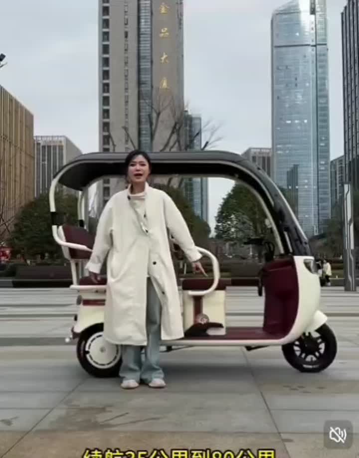 승객을 운반 할 수있는 3 개의 컬러 전기 세발 자전거