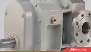 Rotary lobe pump with built-in safety valve