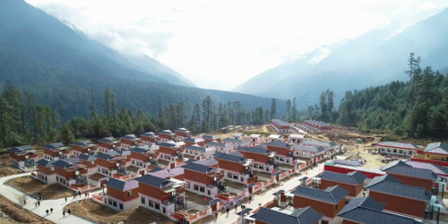 Feuille d'aluminium prépeinte Aluminium prélaqué au fluorure de polyvinylidène pour panneau mural