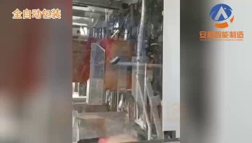packaging  palletizing& membrane system