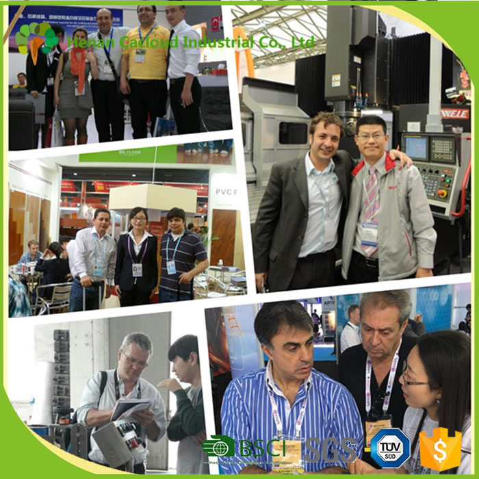 Henan cacloud Industrial Co., Ltd