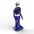 Intelligent Humanoid Autonomous Reception Robot1