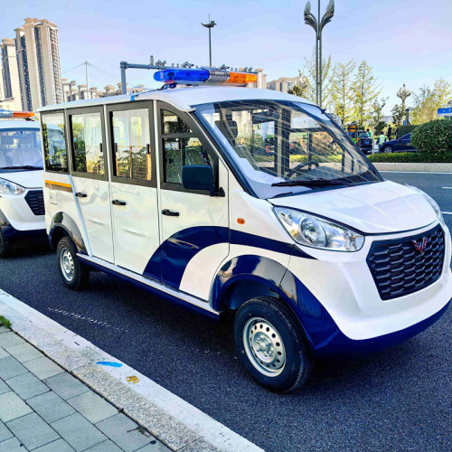 Application fields and development directions of Electric Sightseeing Car