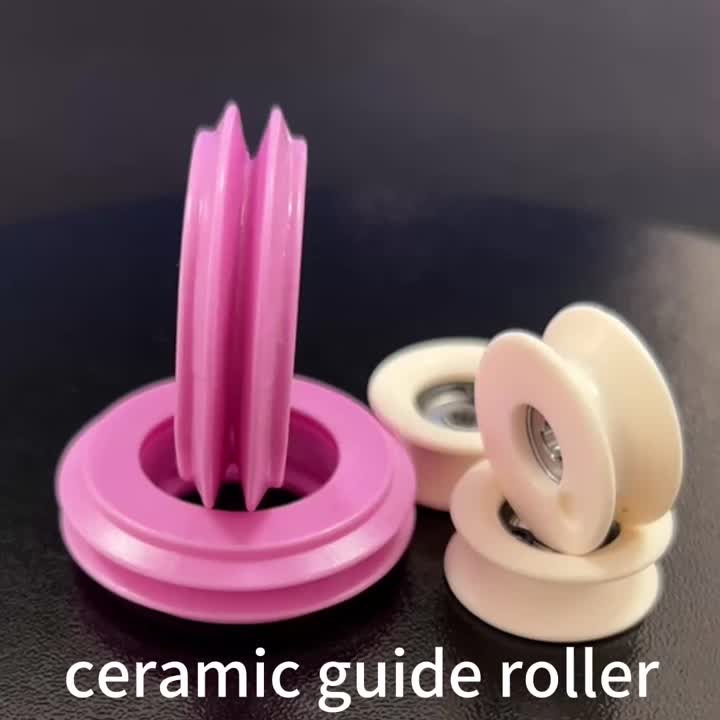 Ceramic Guide Roller~1