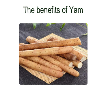 The advantage of taking yam regularly
